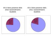 2010-2011 metų Lietuvos Respublikos (LR) biudžetų palyginimas 10 puslapis