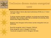 5 dienų pažintinė – poilsinė kelionė po Nemuno deltą ir Kuršių Neriją 18 puslapis