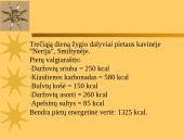 5 dienų pažintinė – poilsinė kelionė po Nemuno deltą ir Kuršių Neriją 19 puslapis