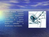 Abortai ir eutanazija 13 puslapis