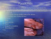 Abortai ir eutanazija 20 puslapis