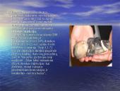 Abortai ir eutanazija 9 puslapis