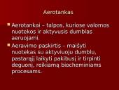 Aerotankas. Aeravimo sistema 2 puslapis