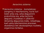Aerotankas. Aeravimo sistema 11 puslapis