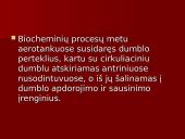 Aerotankas. Aeravimo sistema 4 puslapis