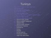 Akmens anglis – kuras ir cheminė žaliava 2 puslapis