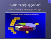 Akmens anglis – kuras ir cheminė žaliava 11 puslapis