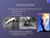 Akmens anglis – kuras ir cheminė žaliava 13 puslapis