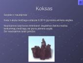 Akmens anglis – kuras ir cheminė žaliava 17 puslapis