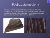 Akmens anglis – kuras ir cheminė žaliava 20 puslapis