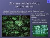 Akmens anglis – kuras ir cheminė žaliava 3 puslapis