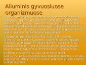 Aliuminis (Al) 8 puslapis