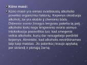 Alkoholis, alkoholio poveikis žmogui ir visuomenei 12 puslapis