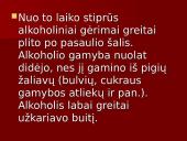 Alkoholis, alkoholio poveikis žmogui ir visuomenei 5 puslapis