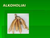 Alkoholis, alkoholio poveikis žmogui ir visuomenei 6 puslapis