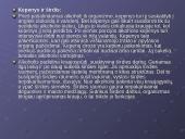 Alkoholis, alkoholio poveikis žmogui ir visuomenei 9 puslapis