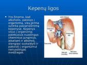 Visa tiesa apie alkoholį 11 puslapis