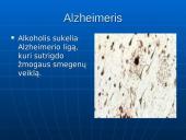 Visa tiesa apie alkoholį 15 puslapis