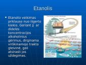 Visa tiesa apie alkoholį 9 puslapis