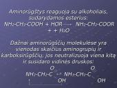 Aminorūgščių organiniai junginiai 6 puslapis