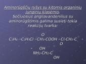 Aminorūgščių organiniai junginiai 9 puslapis