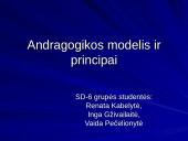 Andragogikos modelis ir principai