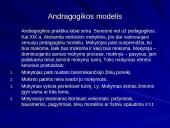 Andragogikos modelis ir principai 2 puslapis