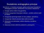 Andragogikos modelis ir principai 6 puslapis