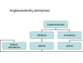 Angliavandeniliai ir jų skirstymas 2 puslapis