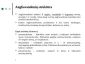 Angliavandenių apykaita žmogaus organizme 3 puslapis