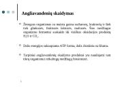 Angliavandenių apykaita žmogaus organizme 7 puslapis