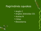 Anglies ir azoto ciklai ekosistemoje 2 puslapis