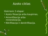 Anglies ir azoto ciklai ekosistemoje 12 puslapis