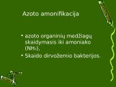 Anglies ir azoto ciklai ekosistemoje 14 puslapis