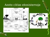 Anglies ir azoto ciklai ekosistemoje 17 puslapis