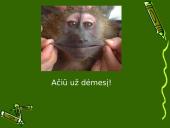 Anglies ir azoto ciklai ekosistemoje 18 puslapis