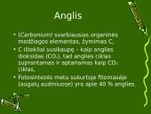 Anglies ir azoto ciklai ekosistemoje 3 puslapis