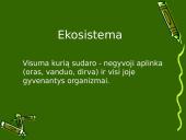 Anglies ir azoto ciklai ekosistemoje 5 puslapis