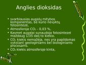 Anglies ir azoto ciklai ekosistemoje 6 puslapis