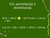Anglies ir azoto ciklai ekosistemoje 8 puslapis
