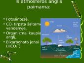 Anglies ir azoto ciklai ekosistemoje 9 puslapis