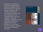Antanas Škėma 11 puslapis