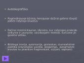 Antanas Škėma 10 puslapis