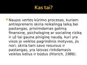 Antreprenerystė 2 puslapis