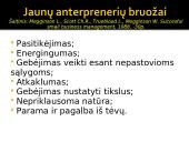 Antreprenerystė 13 puslapis