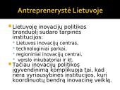 Antreprenerystė 17 puslapis