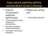 Antreprenerystė 19 puslapis