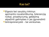 Antreprenerystė 3 puslapis