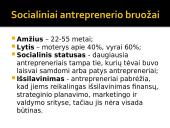 Antreprenerystė 7 puslapis