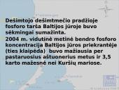 Antropogeninė tarša Baltijos jūros regione 13 puslapis